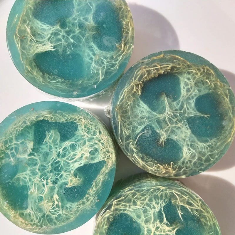 img20220111121608496_e05ea40b-8141-45df-9544-38d537e48ff9-4x